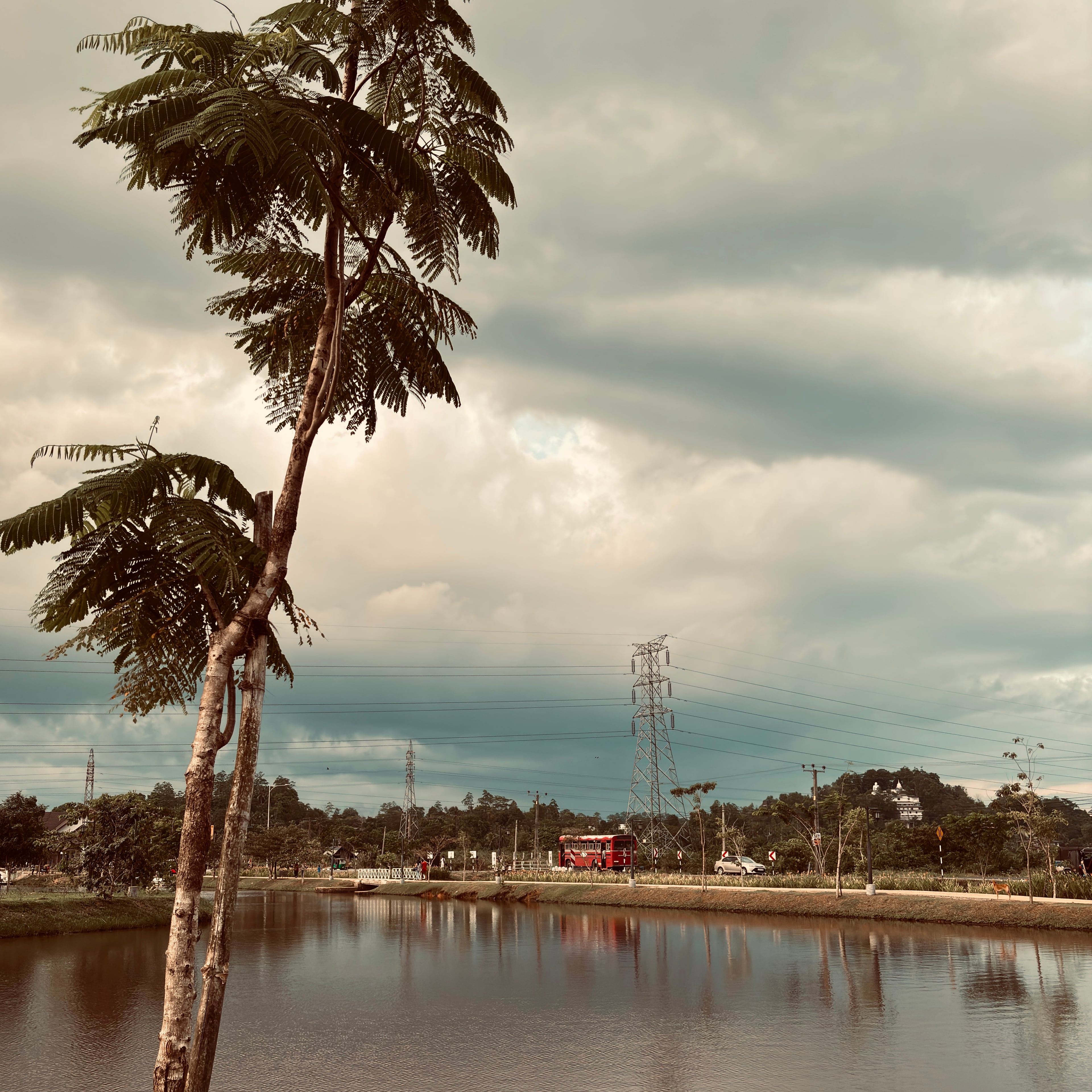 A calm canal reflecting a moody, overcast sky with a thin tree in the foreground and a red bus driving in the distance