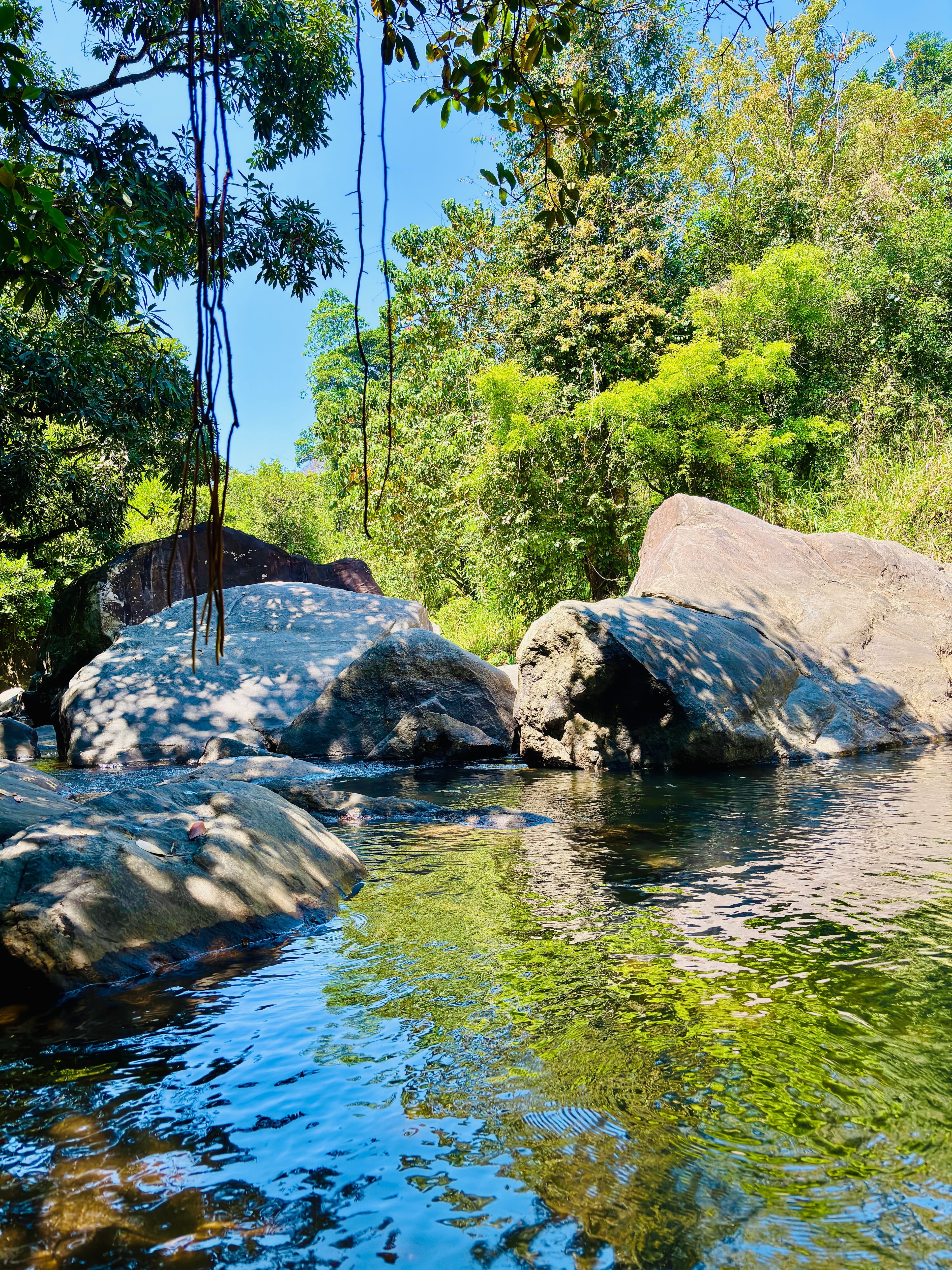 A tranquil stream flowing between large, smooth boulders surrounded by lush green forest under a clear blue sky