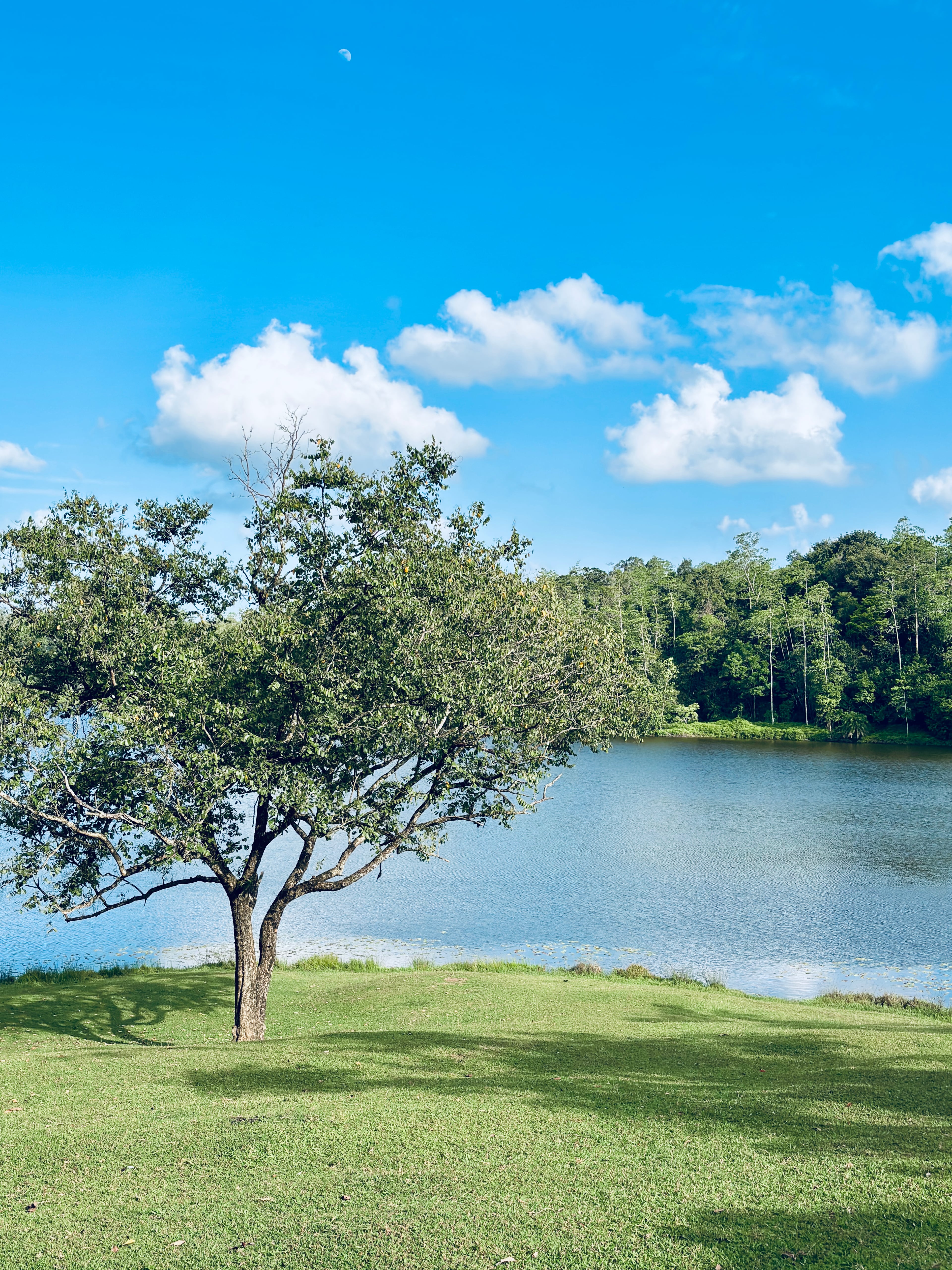 A bright, clear day by a calm lake surrounded by lush green trees, with a faint moon visible in the blue sky