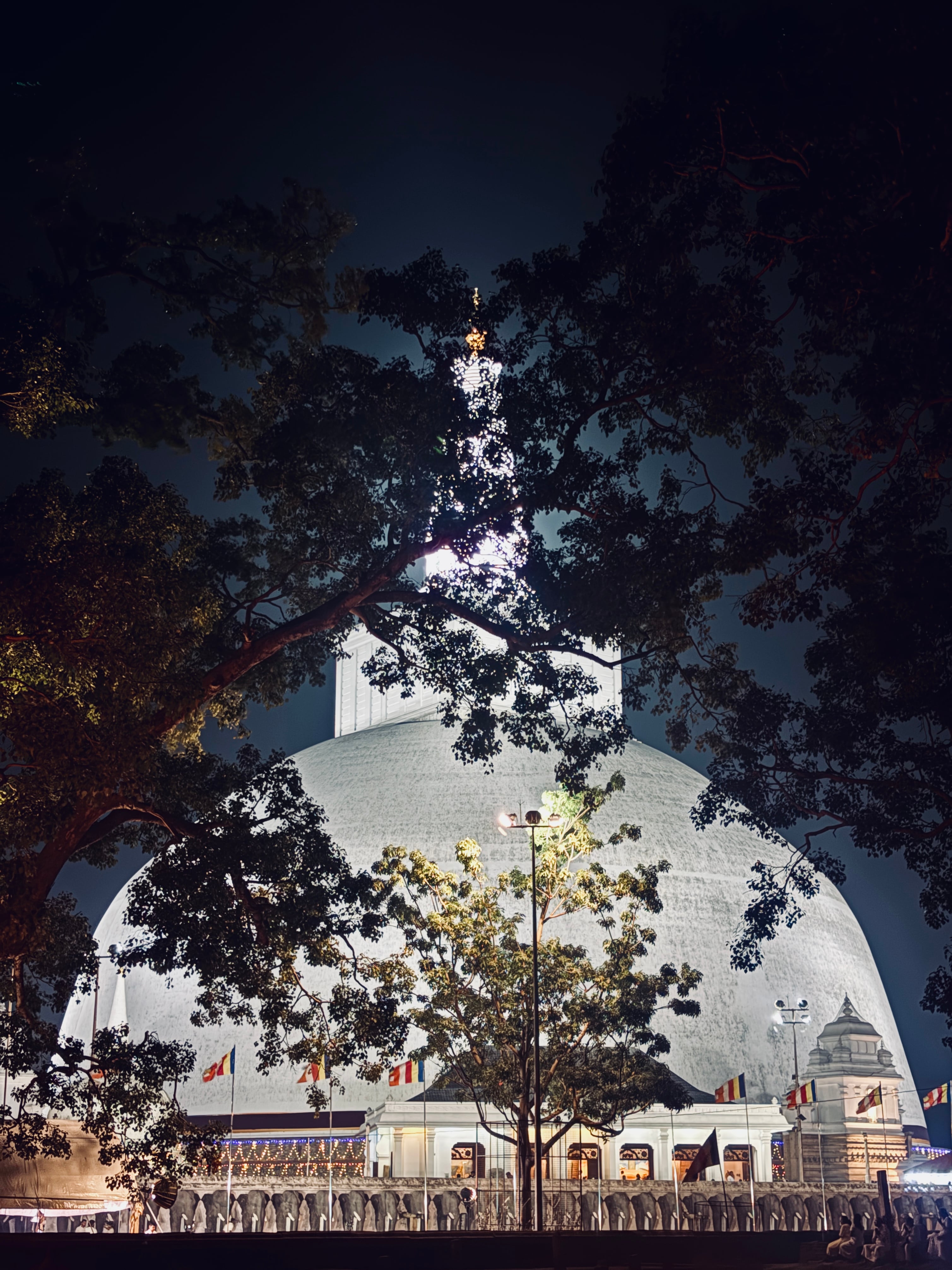 Majestic white stupa lit up at night, framed by dark silhouetted trees