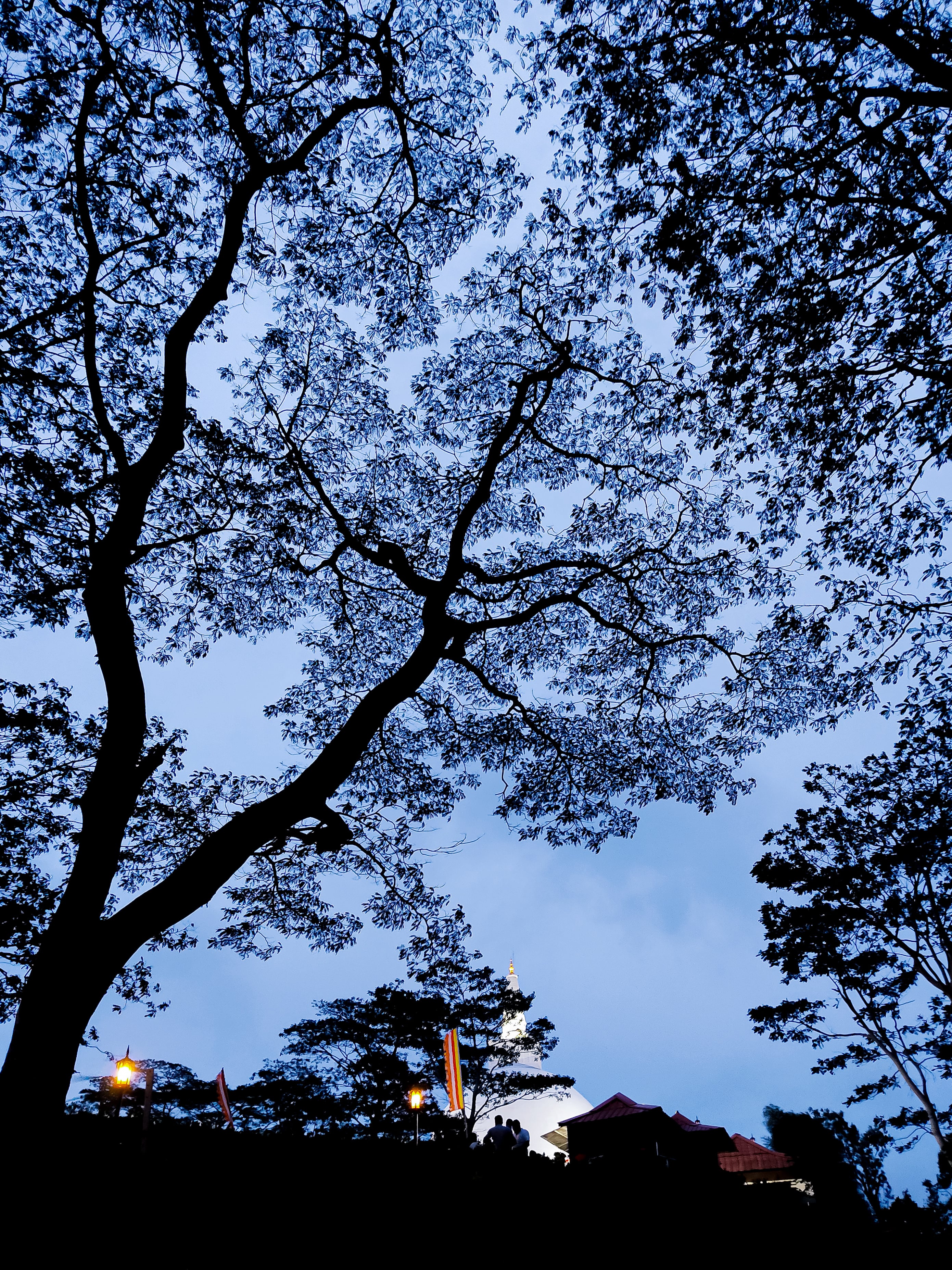 A large stupa silhouetted against a deep blue evening sky, with the silhouettes of large trees in the foreground